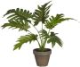 Mica Decorations kunstplant Philodendron - Thumbnail 3