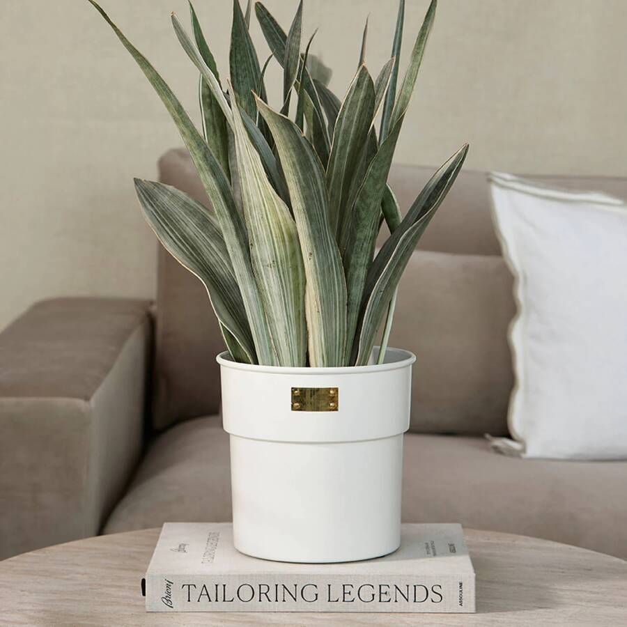 Riviera Maison bloempot City Loft
