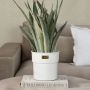 Riviera Maison bloempot City Loft - Thumbnail 2