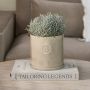 Riviera Maison bloempot Portofino - Thumbnail 2