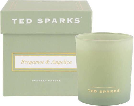 Ted Sparks geurkaars Demi Bergamot & Angelica