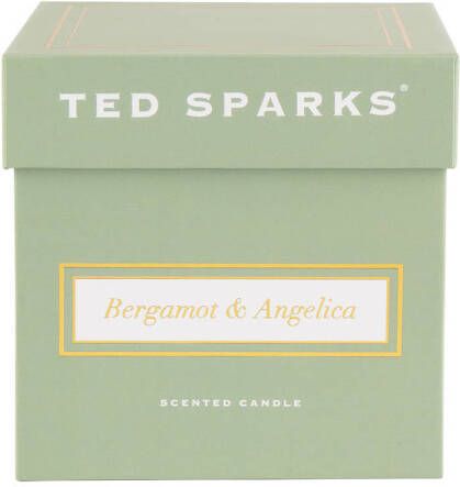 Ted Sparks geurkaars Bergamot & Angelica