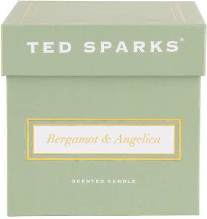 Ted Sparks geurkaars Demi Bergamot & Angelica