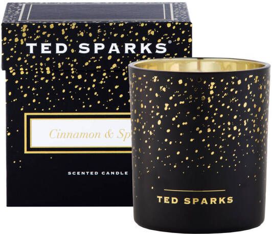 Ted Sparks geurkaars Demi Cinnamon & Spice