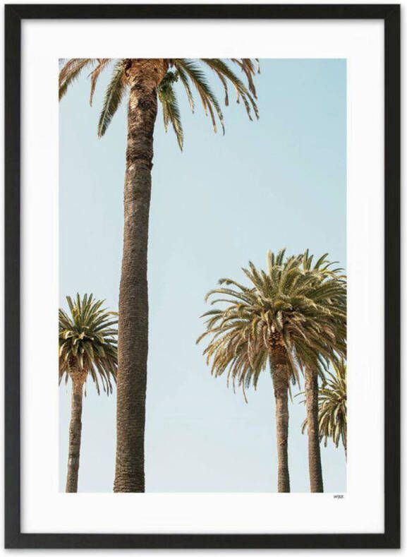 WIJCK. poster Mallorca Palms (30x40 cm)