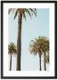 WIJCK. poster Mallorca Palms (30x40 cm) - Thumbnail 2