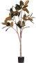 Woood Rubber Kunstplant Groen Bruin 170x106x63 - Thumbnail 2