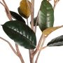 Woood Rubber Kunstplant Groen Bruin 170x106x63 - Thumbnail 3