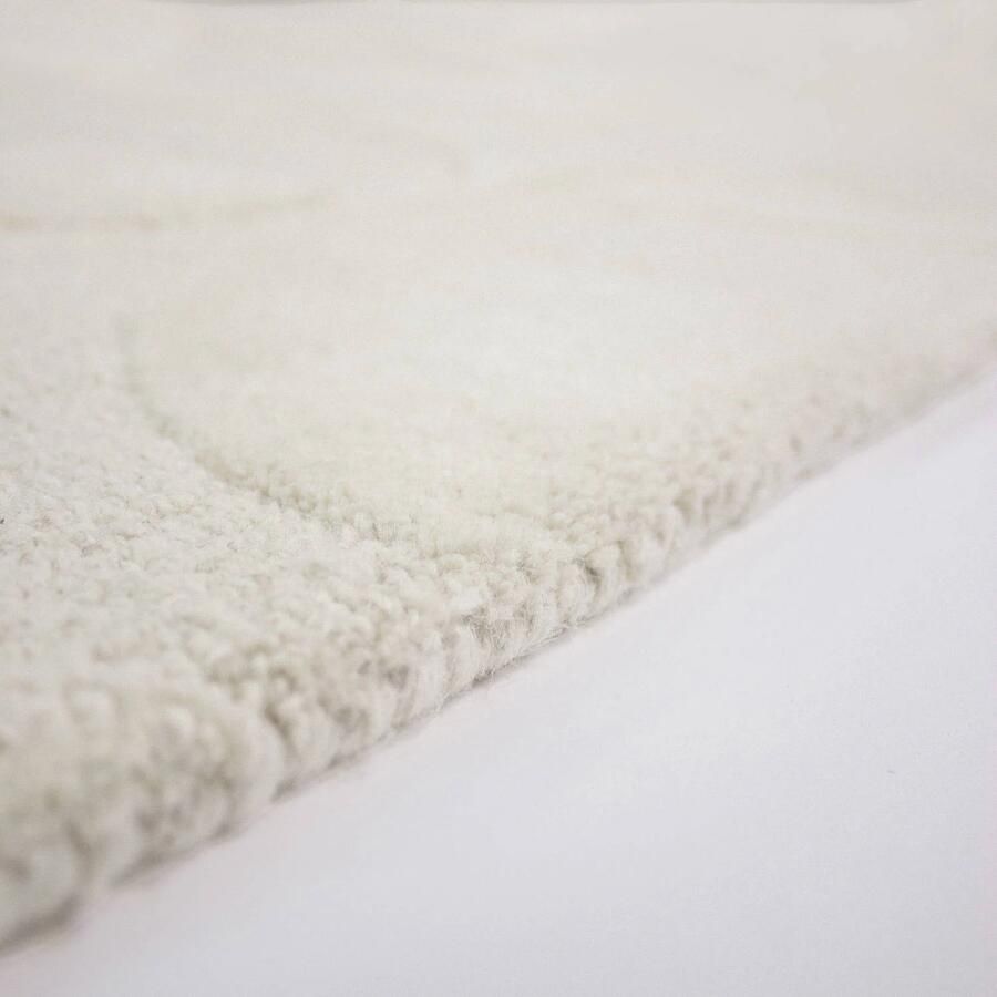 Flair Rugs vloerkleed wol (230X160 cm) - Foto 3
