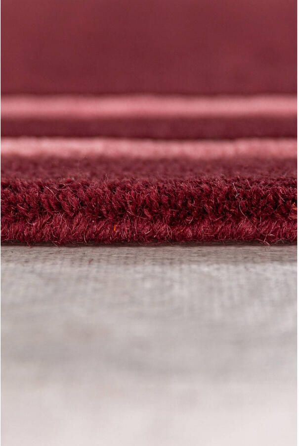 Flair Rugs Vloerkleed Gatsby Deco Rand (230x160 cm)