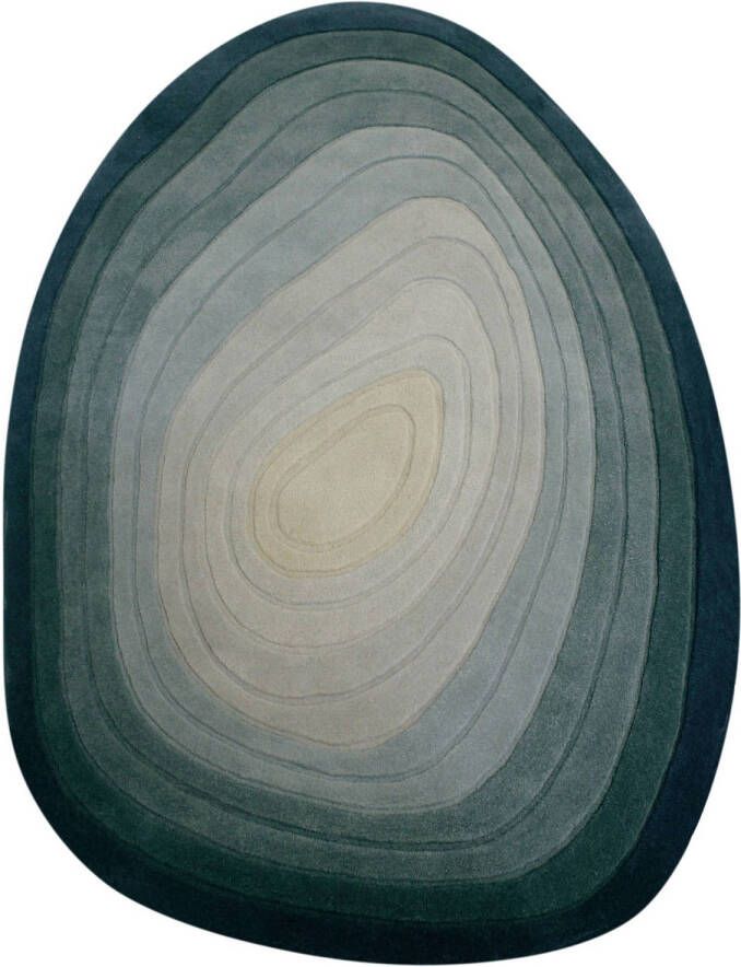 Flair Rugs Puddle Ombre Modern Vloerkleed Wol