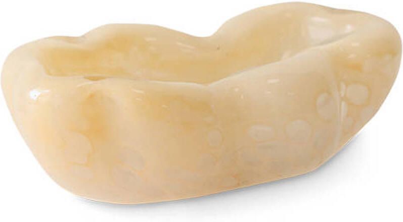 HKLIVING schaal (decoratie) Oyster - Foto 2