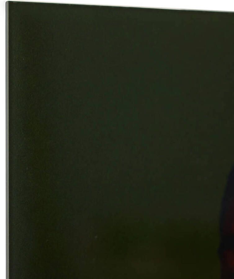 HKLIVING wanddecoratie Plexi portrait Volt (35x55 cm)