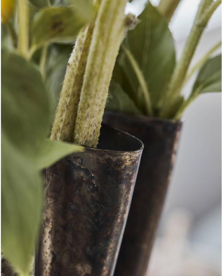 House Doctor vaas Flood