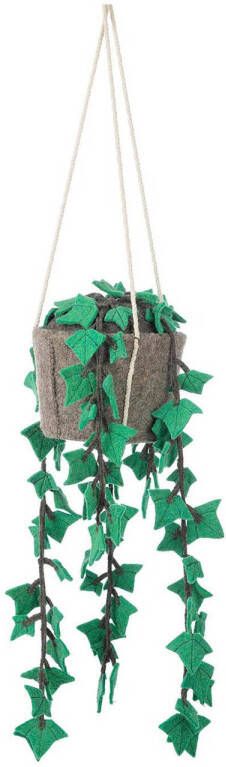 Kidsdepot hangplant Hedera - Foto 3