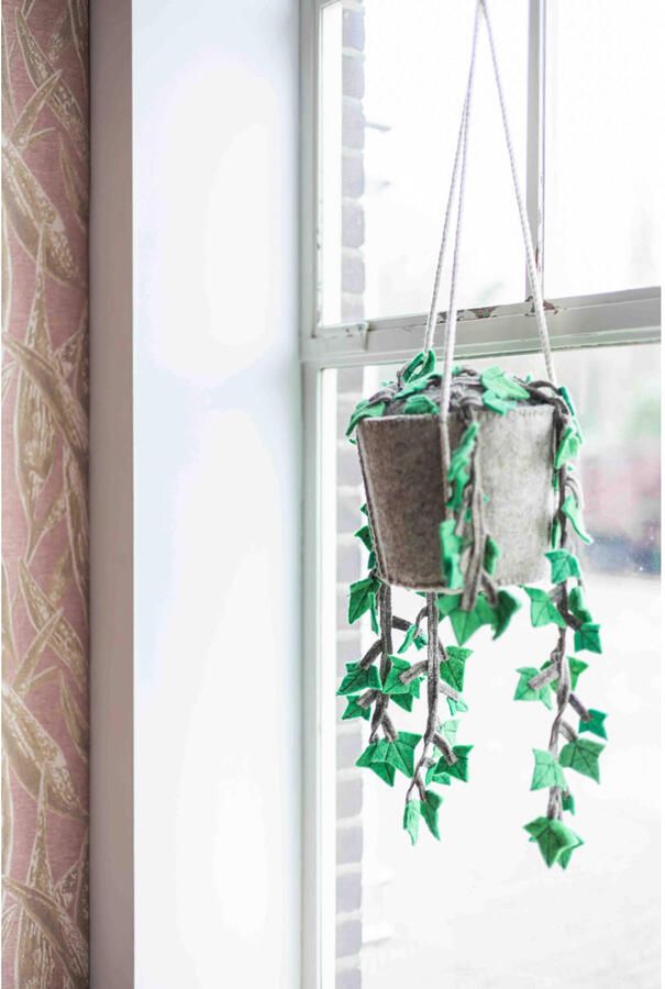 Kidsdepot hangplant Hedera