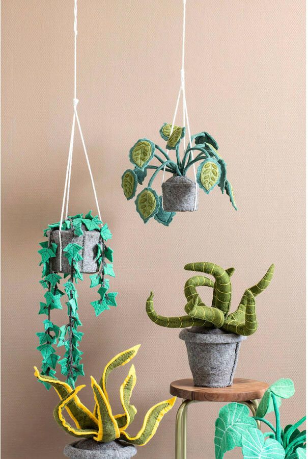 Kidsdepot hangplant Hedera - Foto 2