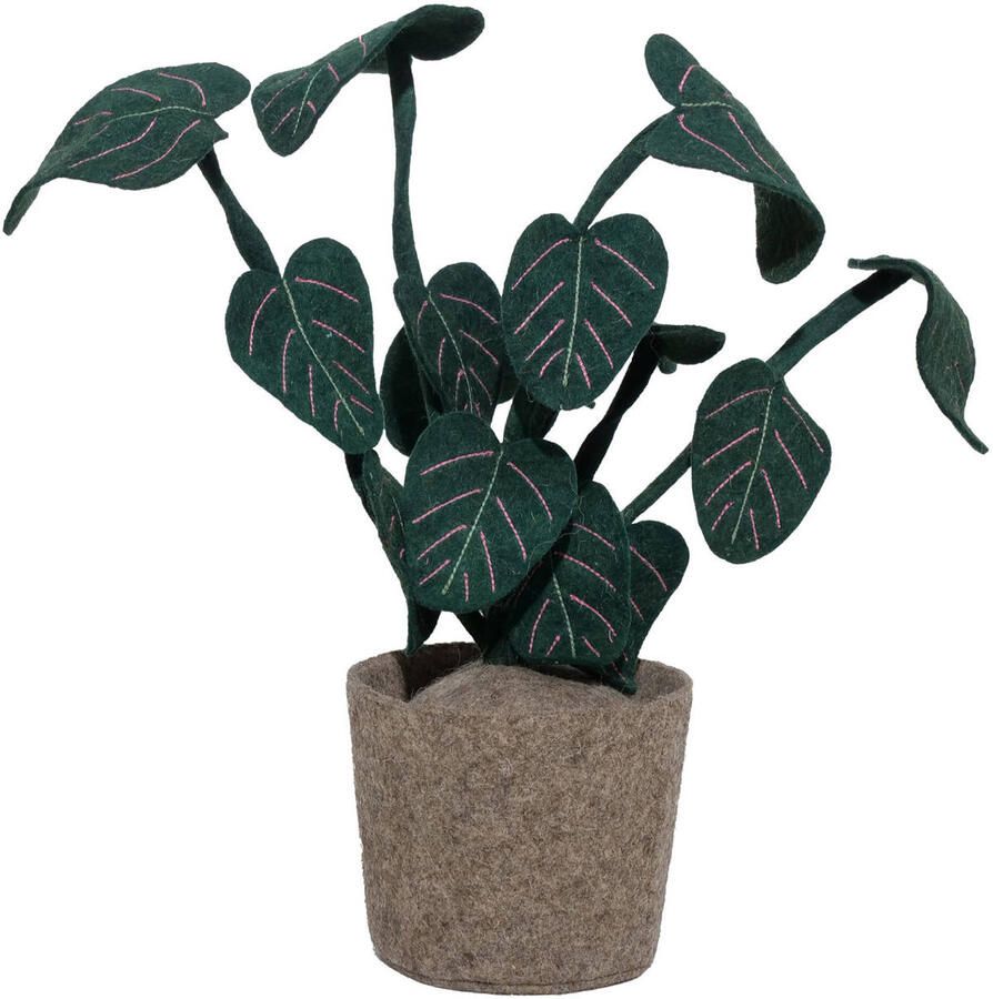 Kidsdepot kunstplant Calathea - Foto 3
