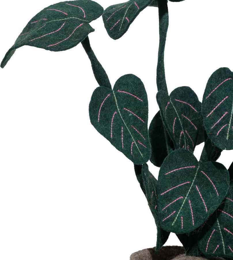 Kidsdepot kunstplant Calathea