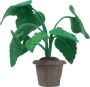 Kidsdepot kunstplant Alocasia - Thumbnail 1