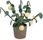 Kidsdepot kunstplant Citrus (25x56 cm) - Thumbnail 1