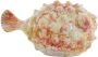 Light & Living ornament Fish - Thumbnail 1