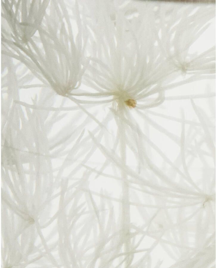 Meraki geurstokjes Lilac Muse (240 ml) - Foto 3