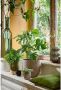 Mica Decorations Plantenpot taupe bruin keramiek D25 x H23 cm bloempot Plantenpotten - Thumbnail 1