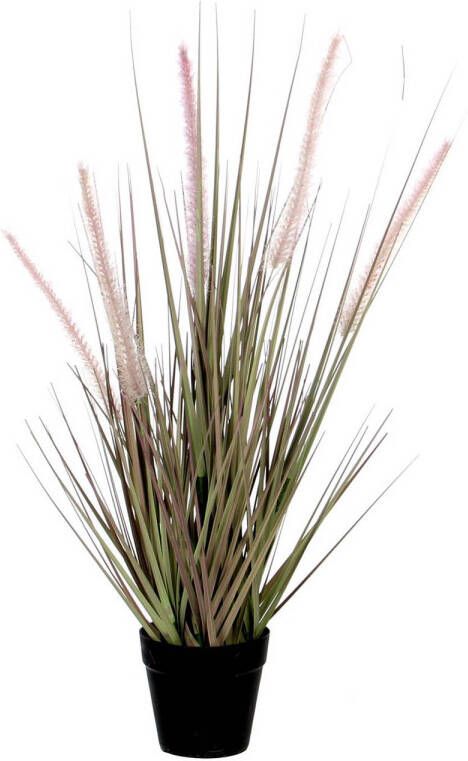 Mica Decorations Groene Dogtail siergras kunstplant 53 cm in zwarte pot Kunstplanten nepplanten Kunstplanten