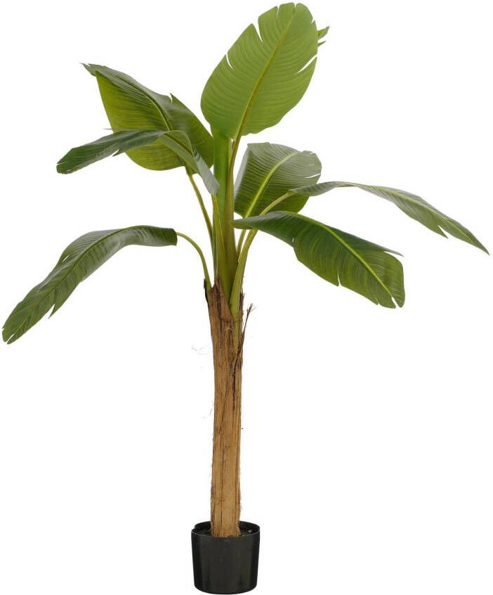 Mica Decorations Kunstplant Bananenboom in Pot H155 x Ø90 cm Groen