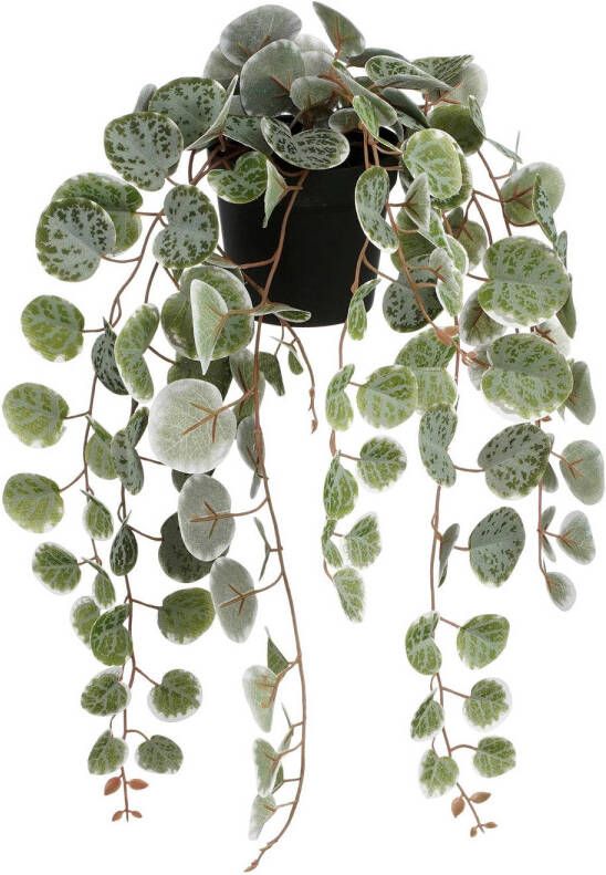 Mica Decorations kunstplant Ceropegia Woodii hangend