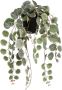 Mica Decorations kunstplant Ceropegia Woodii hangend - Thumbnail 1