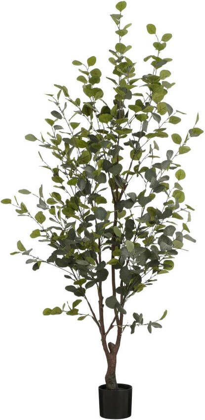 Mica Decorations Kunstplant Eucalyptusboom in Pot H180 x Ø80 cm