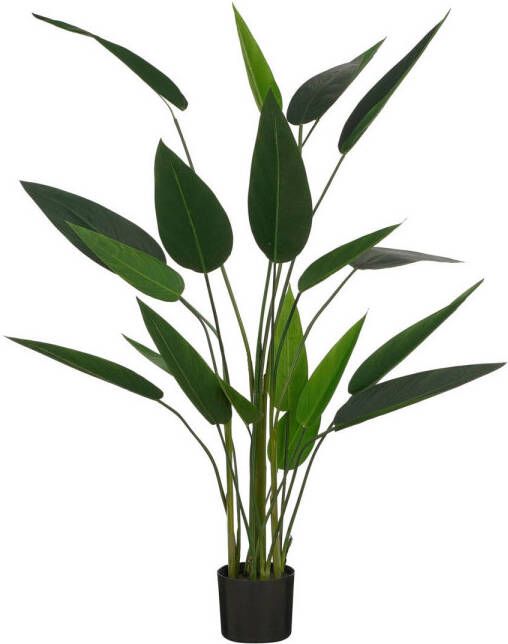 Mica Decorations kunstplant Heliconia