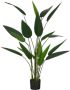 Mica Decorations kunstplant Heliconia - Thumbnail 1