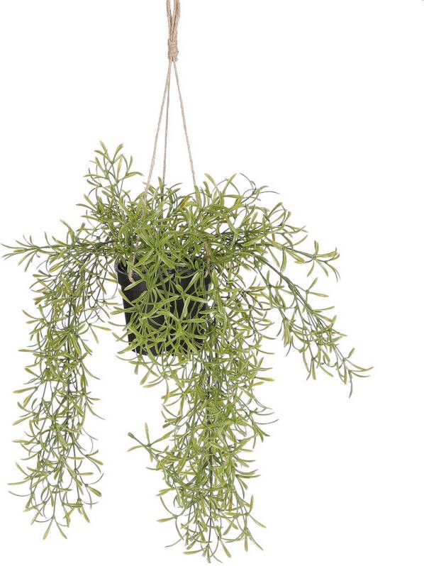 Mica Decorations kunstplant Rhipsalis