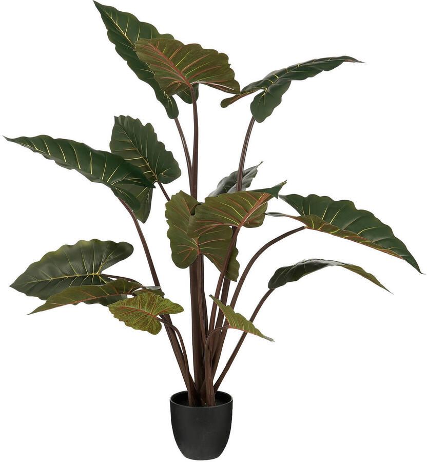 Mica Decorations kunstplant Alocasia