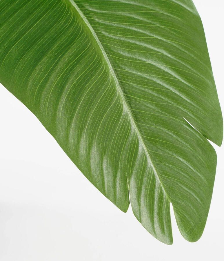 Mica Decorations kunstplant Bananen boom