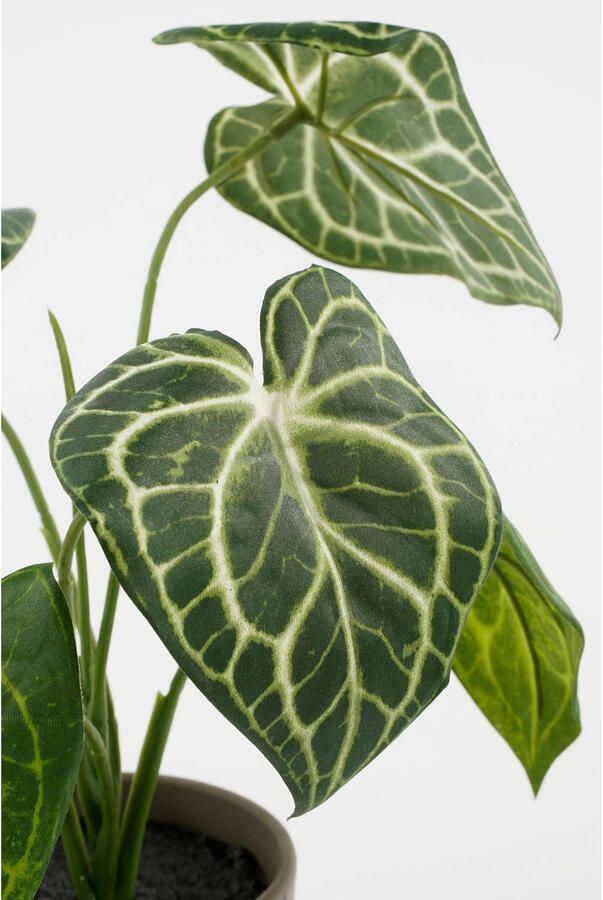 Mica Decorations kunstplant Caladium - Foto 2