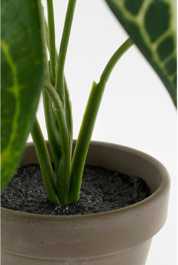 Mica Decorations kunstplant Caladium