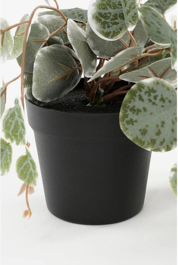 Mica Decorations kunstplant Ceropegia Woodii hangend - Foto 3