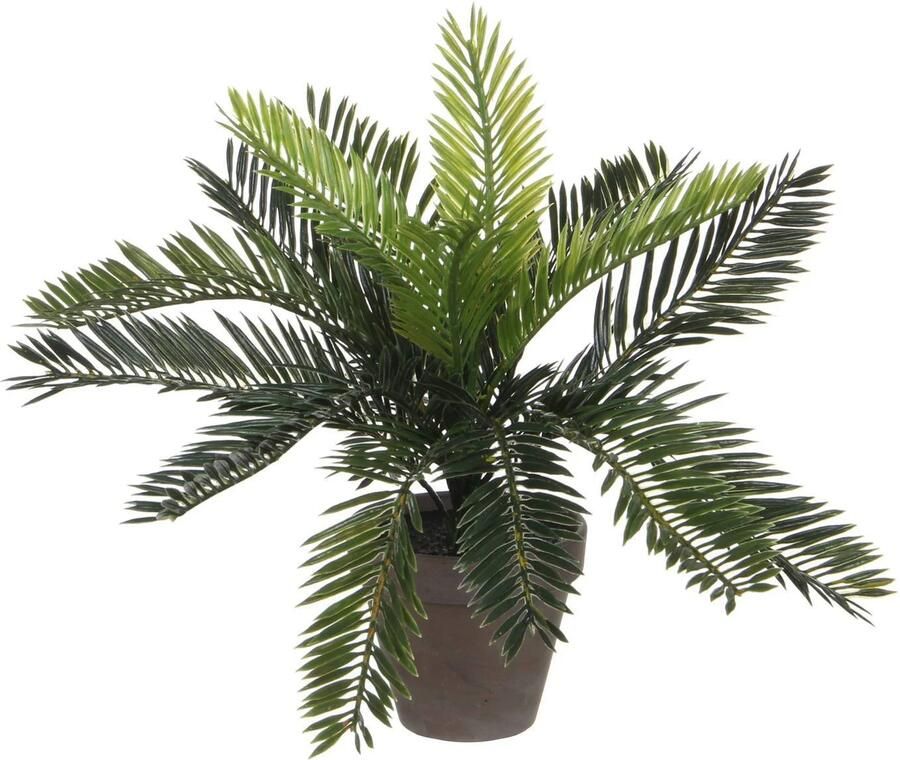 Mica Decorations Groene Cycaspalm kunstplant 33 cm in zwarte pot Kunstplanten nepplanten