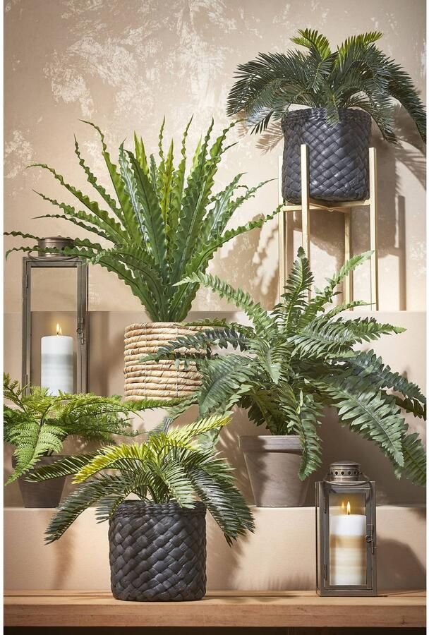 Mica Decorations Groene Cycaspalm kunstplant 33 cm in zwarte pot Kunstplanten nepplanten - Foto 2