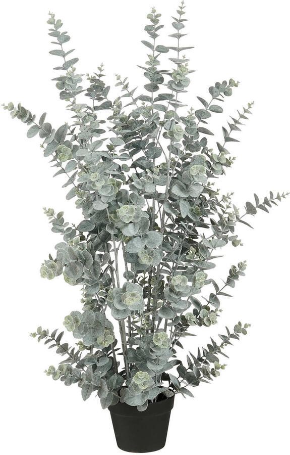 Mica Decorations kunstplant Eucalyptus