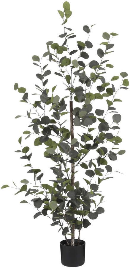 Mica Decorations Eucalyptus Kunstplant H150 x Ø30 cm Groen