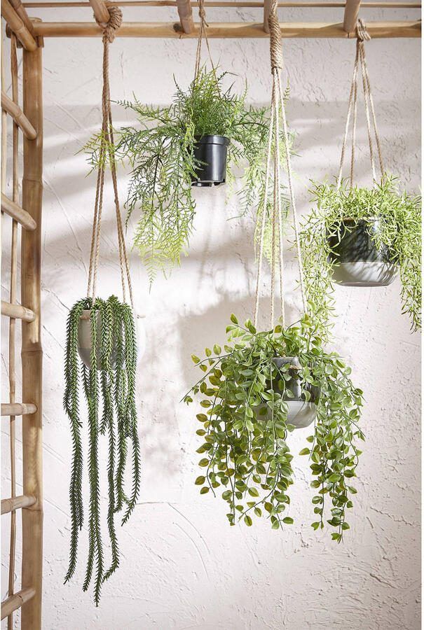 Mica Decorations kunstplant Ficus - Foto 2