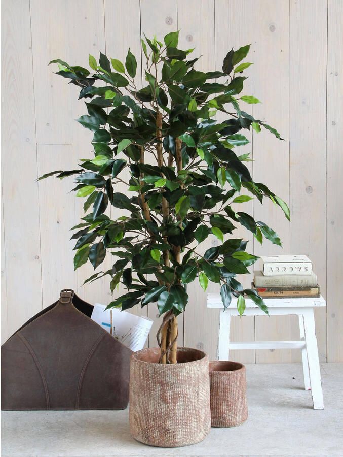Mica Decorations Ficus Kunstplant H105 x Ø60 cm groen - Foto 3