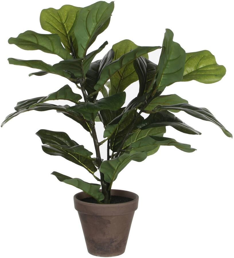 Mica Decorations Groene ficus Lyrata kunstplant 45 cm voor binnen Kunstplanten - Foto 2