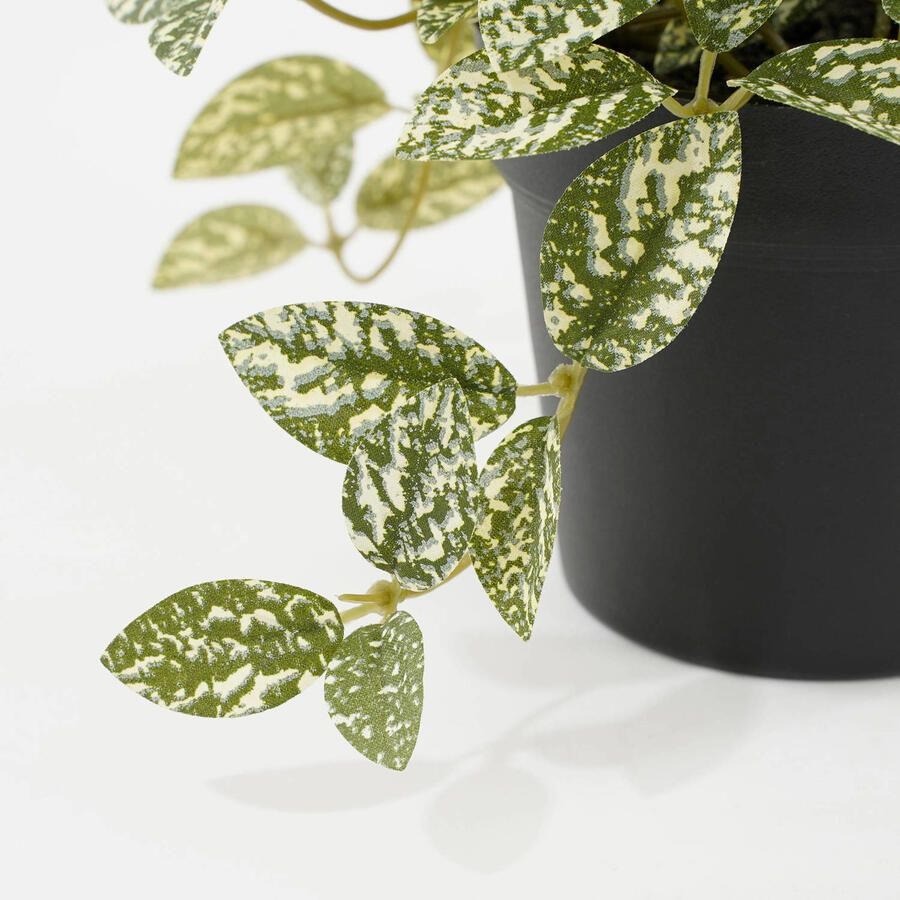 Mica Decorations kunstplant Fittonia