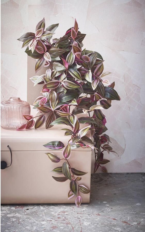 Mica Decorations kunstplant hangend Tradescantia - Foto 2